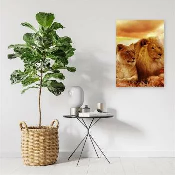 Obraz na płótnie, Król lew i lwica