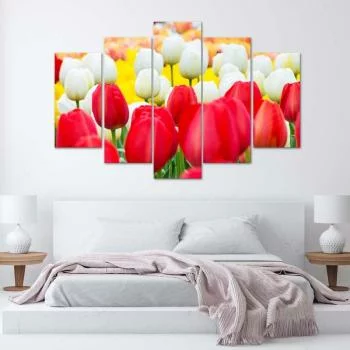 Obraz pięcioczęściowy na płótnie, Białe i czerwone tulipany