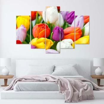 Obraz pięcioczęściowy na płótnie, Kolorowe tulipany