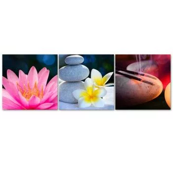 Obraz trzyczęściowy na płótnie, Kwiaty i relaks zen - obrazek 3