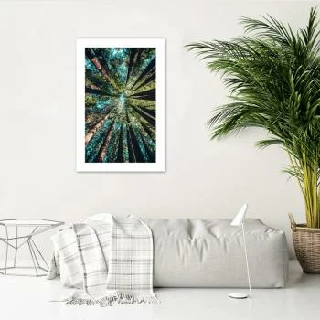 Plakat, Konary wysokich drzew