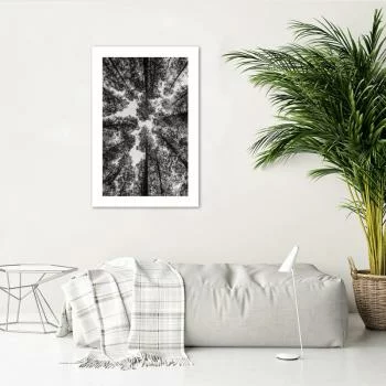 Plakat, Korony drzew