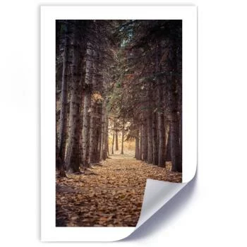 Plakat, Las jesienią - obrazek 2
