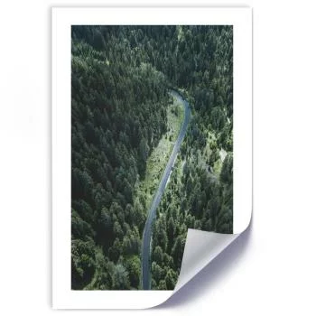 Plakat, Droga w lesie - obrazek 2
