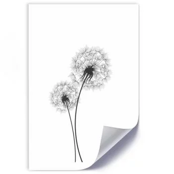 Plakat, Narysowane dwa dmuchawce - obrazek 2