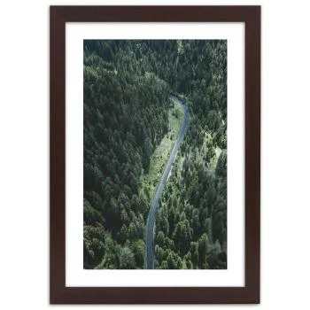 Obraz w ramie, Droga w lesie - obrazek 3