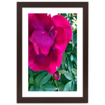 Obraz w ramie, Różowy duży kwiat - obrazek 3