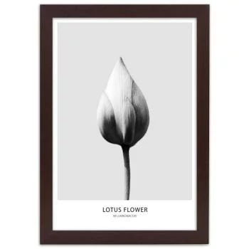 Obraz w ramie, Biały pączek lotosu - obrazek 3