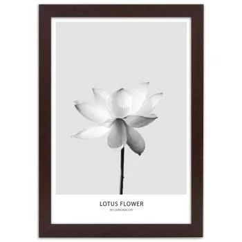 Obraz w ramie, Biały kwiat lotosu - obrazek 3