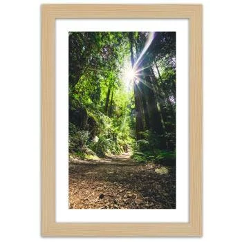 Obraz w ramie, Ścieżka w gęstym lesie - obrazek 3
