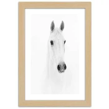 Obraz w ramie, Siwy koń - obrazek 3