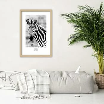 Obraz w ramie, Ciekawska zebra