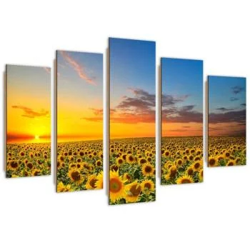 Obraz pięcioczęściowy Deco Panel, Słoneczniki na łące - obrazek 2