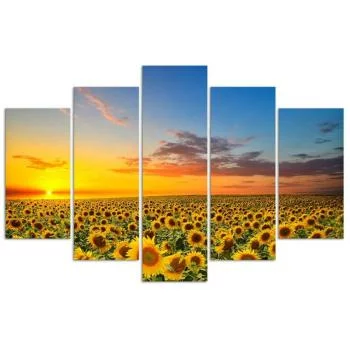 Obraz pięcioczęściowy Deco Panel, Słoneczniki na łące - obrazek 3