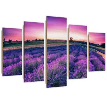 Obraz pięcioczęściowy Deco Panel, Lawendowe pole - obrazek 2
