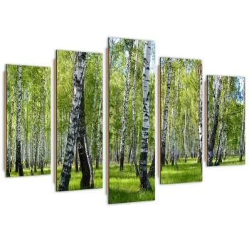 Obraz pięcioczęściowy Deco Panel, Brzozy - obrazek 2