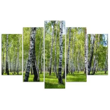 Obraz pięcioczęściowy Deco Panel, Brzozy - obrazek 3