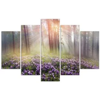Obraz pięcioczęściowy Deco Panel, Krokusy na polanie - obrazek 3