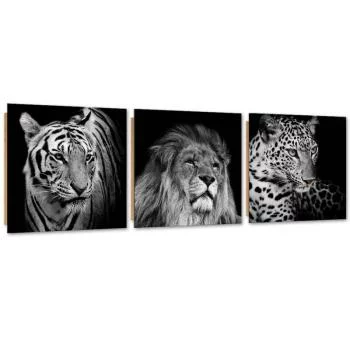 Zestaw obrazów Deco Panel, Czarno-białe drapieżne zwierzęta - obrazek 2