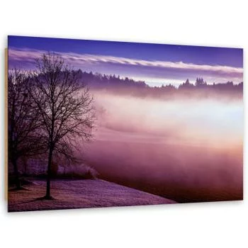 Obraz Deco Panel, Mgła nad jeziorem - obrazek 2