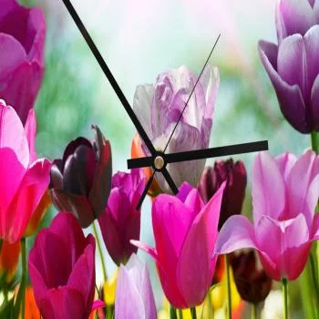 Obraz z zegarem, Kolorowe tulipany - obrazek 3
