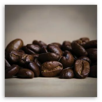 Obraz na płótnie, Ziarna kawy - obrazek 3