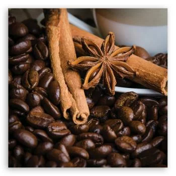 Obraz na płótnie, Gwiazdka anyżu i kawa - obrazek 3