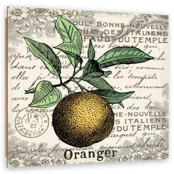 Obraz Deco Panel, Pomarańcza vintage - obrazek 2