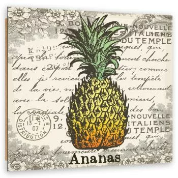 Obraz Deco Panel, Ananas vintage - obrazek 2