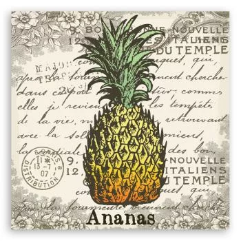 Obraz Deco Panel, Ananas vintage - obrazek 3