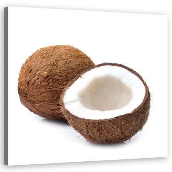 Obraz na płótnie, Owoce kokos - obrazek 2