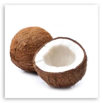 Obraz na płótnie, Owoce kokos - obrazek 3
