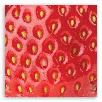 Obraz Deco Panel, Truskawka makro - obrazek 3