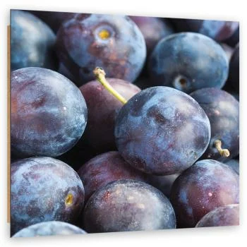 Obraz Deco Panel, Śliwka makro - obrazek 2