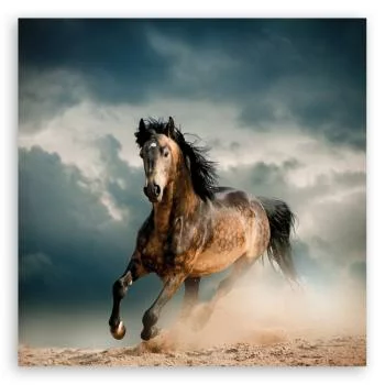 Obraz na płótnie, Galop konia - obrazek 3