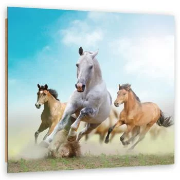 Obraz Deco Panel, Galopujące konie - obrazek 2