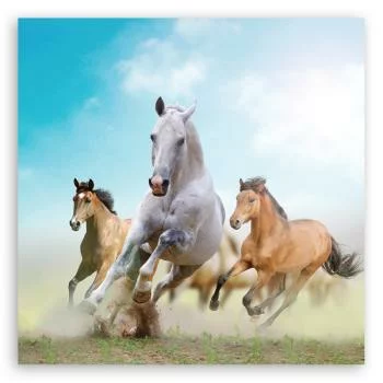 Obraz Deco Panel, Galopujące konie - obrazek 3
