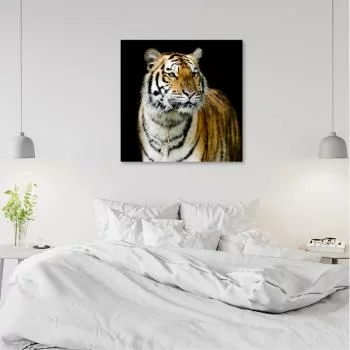 Obraz na płótnie, Majestatyczny tygrys