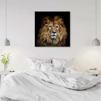 Obraz na płótnie, Majestatyczny lew