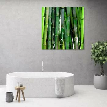 Obraz na płótnie, Zielone bambusy