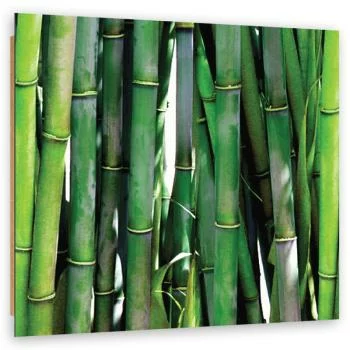 Obraz Deco Panel, Zielone bambusy - obrazek 2