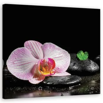 Obraz na płótnie, Kwitnąca orchidea zen - obrazek 2