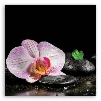 Obraz na płótnie, Kwitnąca orchidea zen - obrazek 3