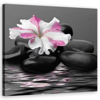 Obraz na płótnie, Kamienie Kwiat Różowy Zen - obrazek 2