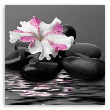 Obraz na płótnie, Kamienie Kwiat Różowy Zen - obrazek 3