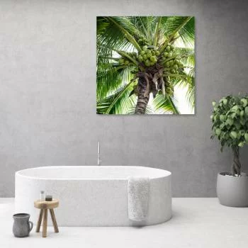 Obraz na płótnie, Palma kokosowa