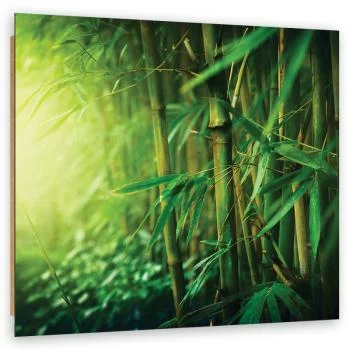 Obraz Deco Panel, Bambus w dżungli - obrazek 2