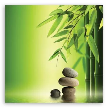 Obraz Deco Panel, Kamienie zen i bambus na zielonym tle - obrazek 3