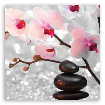 Obraz na płótnie, Kamienie zen i gałązka storczyka - obrazek 3