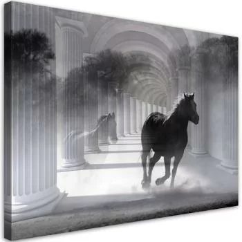 Obraz na płótnie, Biegnący koń 3D - obrazek 2